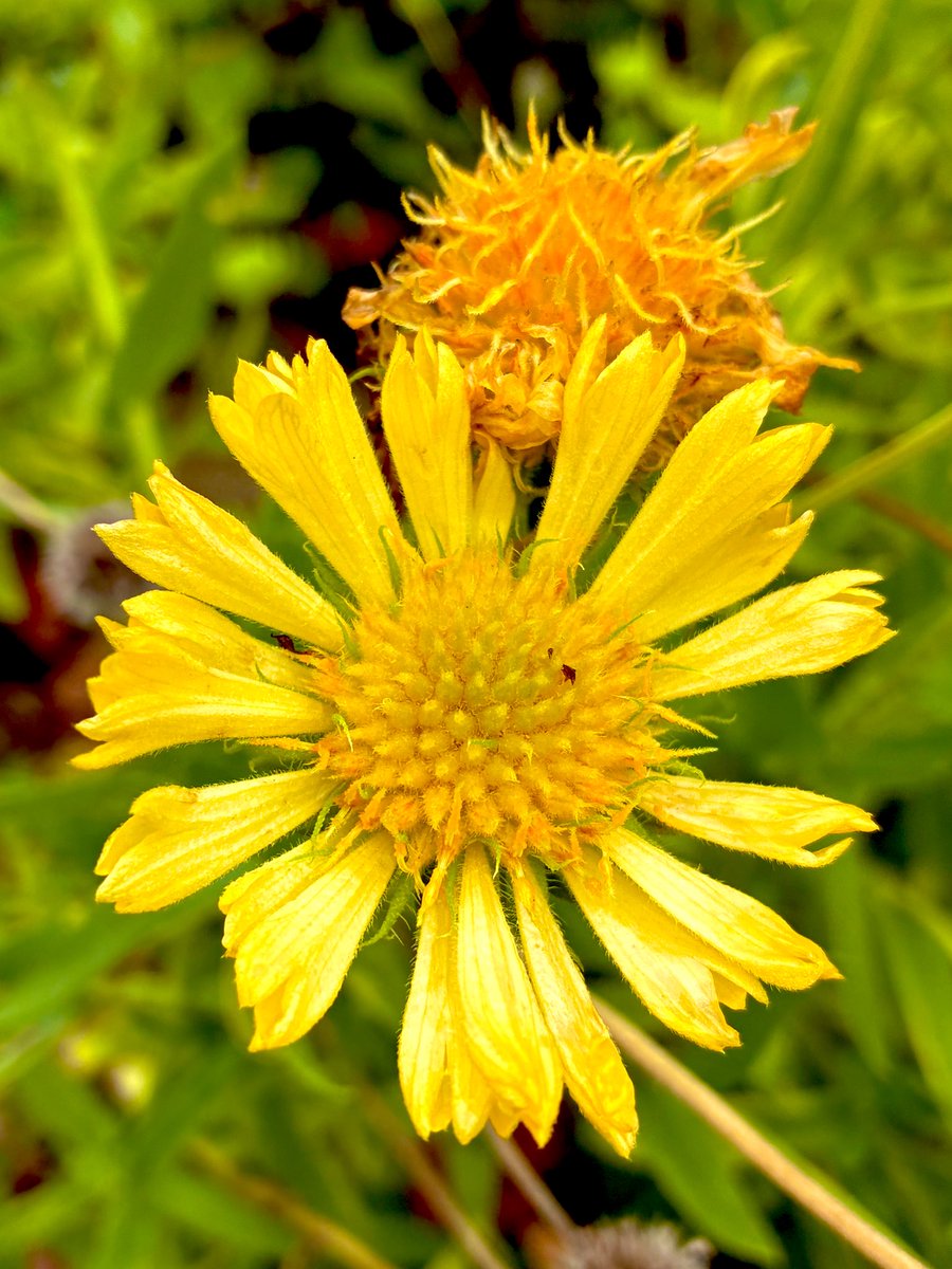 たくみん@いつも前向きブロガー tweet media