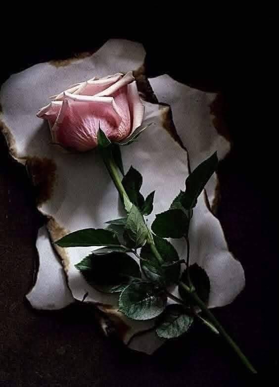 🦋
وأتـي الـلـيـل مـن جـديـد 
لـيـحـكـي مـاتـخـفـيـه 
قـلـوب الـبـشـر....
قـلوب تـنـام وأخـرى 
يـرهـقـهـا الـسـهـر....
قـلـوب تـبـكـي 
وأخـرى تـشكـي ...
قـلـوب تـدمـع وتـصـمـت 
وأخـرى تـبـتـسـم وتـحـلـم ...
وقـلـوب حـائـرة يـعـجـز 
عـن فـهـمـهـا الـبـشـر...
🦋#selrame🦋