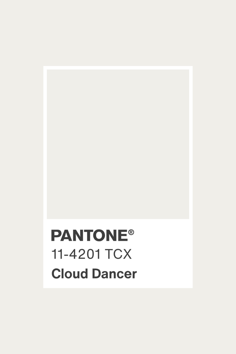 Supergartentipp's tweet photo. Pantone Color of the Year 2026: PANTONE 11-4201 Cloud Dancer

#pantone #Coloroftheyear2026 #CloudDancer  #FarbeDesJahres #Pantone #DesignInspiration #Gelassenheit #Minimalismus #ColorOfTheYear #DesignTrends https://t.co/XPU71C87rC