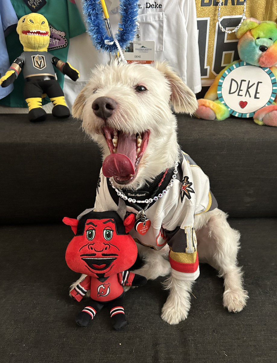 DekeHenriFurry's tweet photo. WINNER! 
@GoldenKnights 3
@NJDevils 0
~ Deke🐾
#GoKnightsGo
#VegasBorn      
#VGKvsNJD                                                                            
#VictorySausage https://t.co/UcDJ2MVTBX