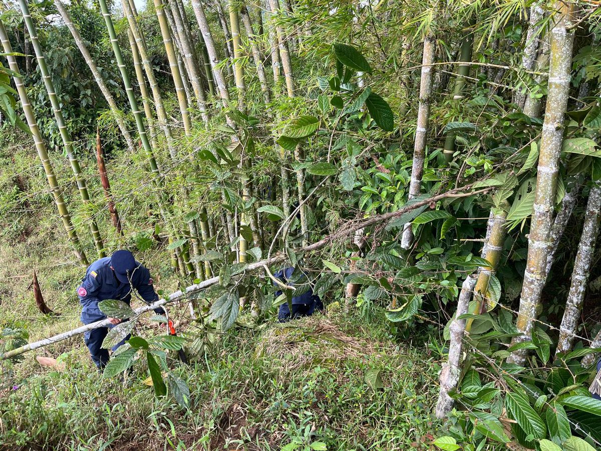 DenunciasAntio2's tweet photo. Soldados del Batallón de Ingenieros de Desminado Humanitario N.° 7 acompañaron y apoyaron a una habitante de la vereda El Oso, en Granada #Antioquia, realizando labores de limpieza en su cultivo de plátano y el mantenimiento de una cerca.

Debido a sus condiciones de salud, la señora no podía efectuar estas tareas, esenciales para el sustento de su hogar y el bienestar de sus hijos.

Con acciones solidarias como esta, nuestros desminadores fortalecen el vínculo con las comunidades y reafirman su compromiso con quienes más lo necesitan.🤝

#SoldadoEsServicioSocial