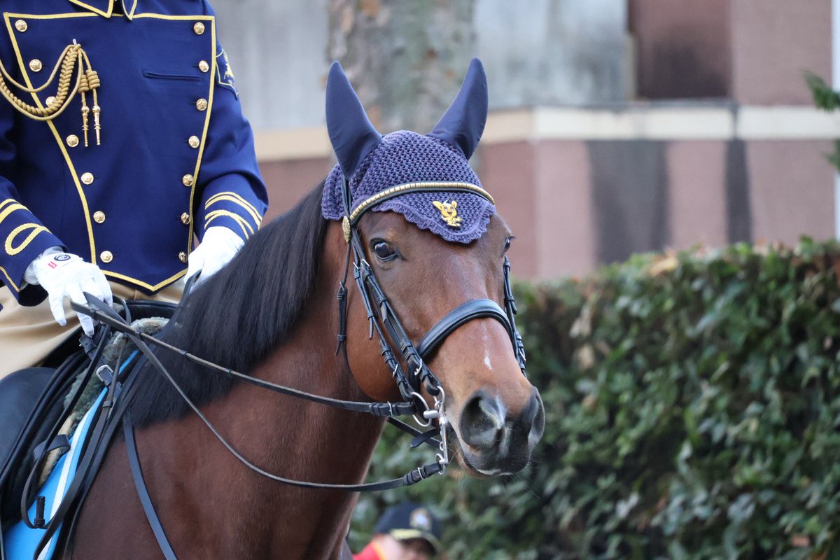 RQ (@a380rq) / Posts / X