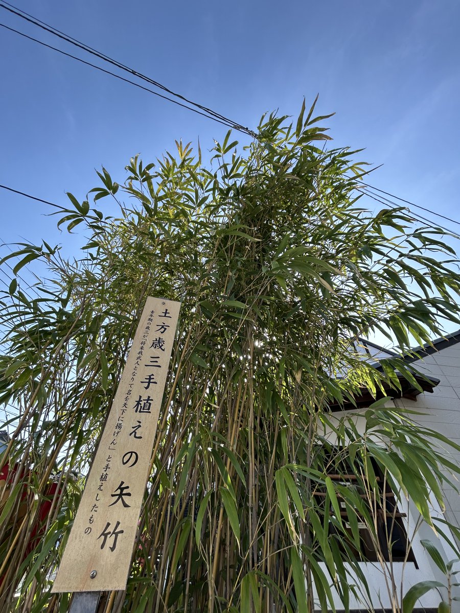 土方歳三資料館は7日（日）12〜16時開館します✨ 歳三も行商した石田