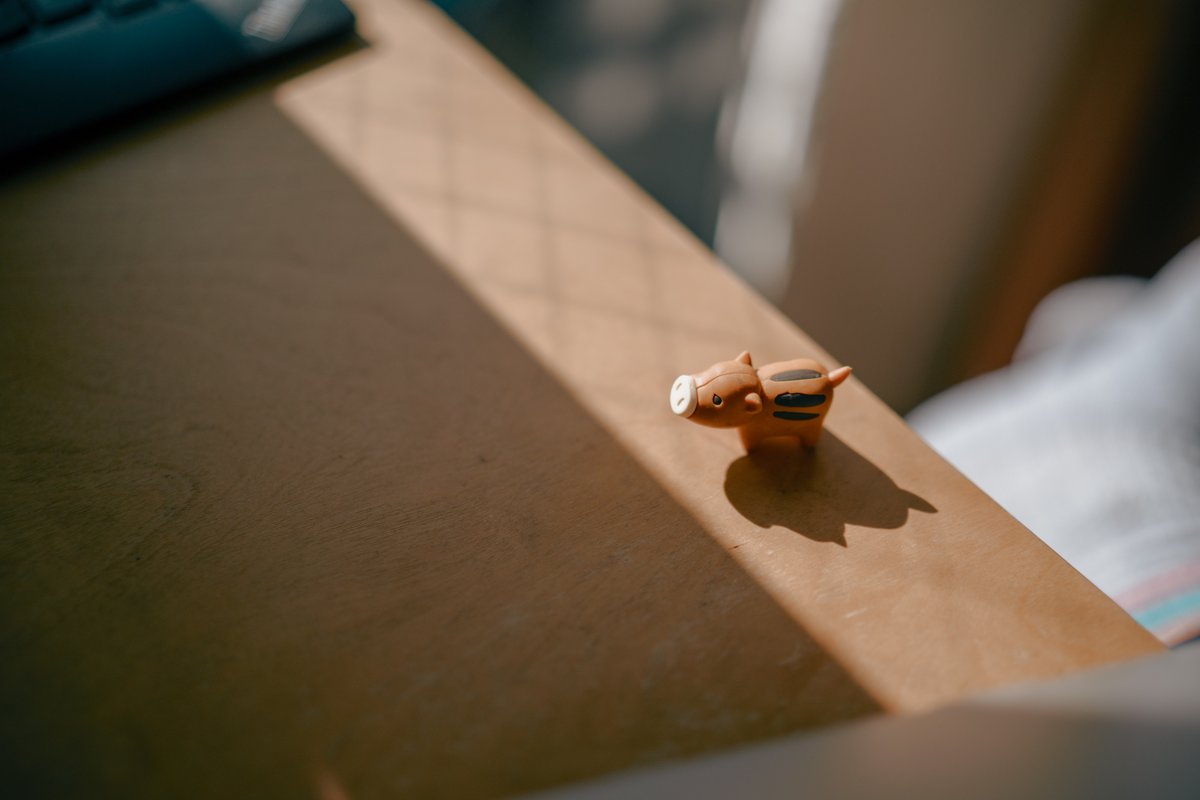 Post by お、おさ、おさむ on X: #SigmaBF