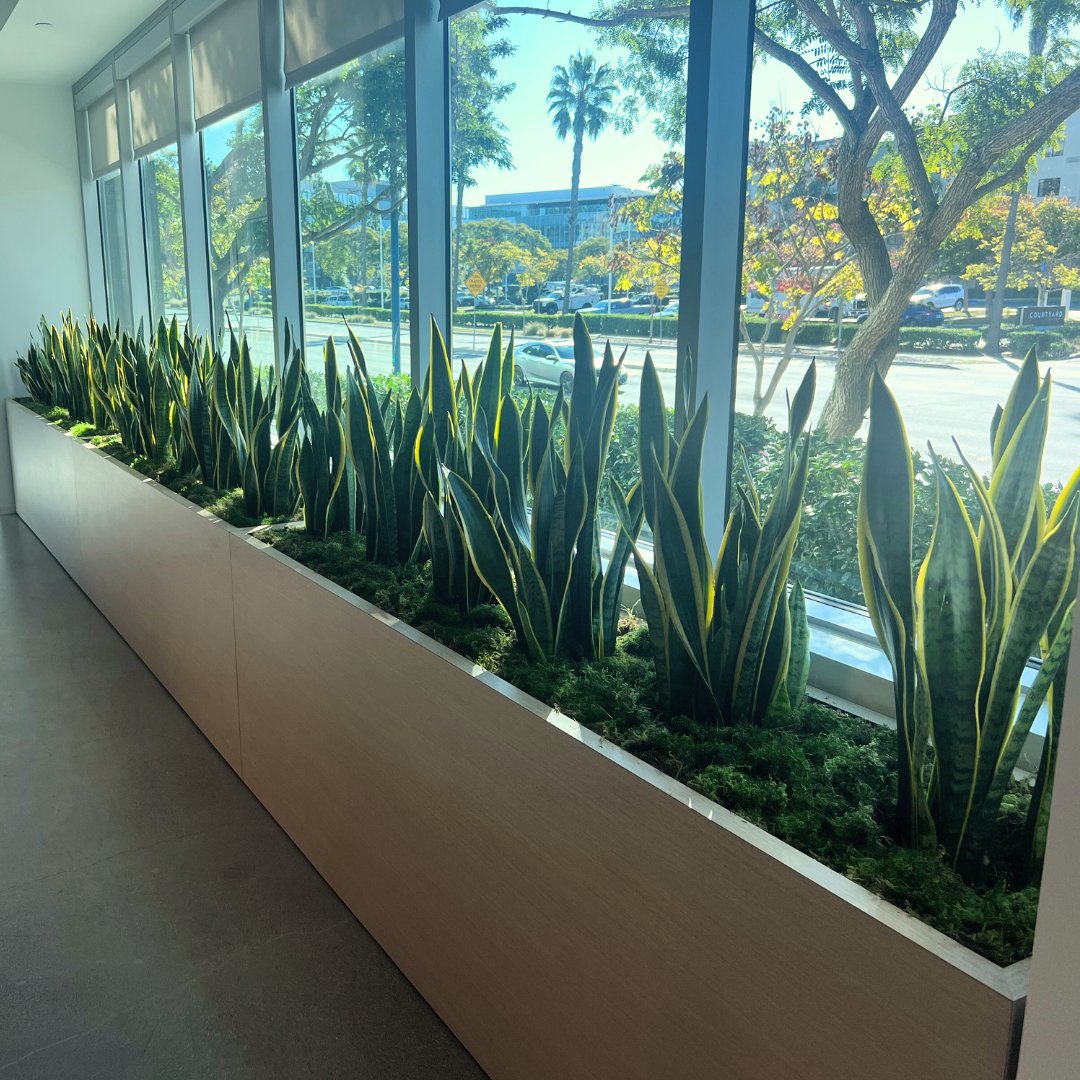 Greenleaf IPS tweet media