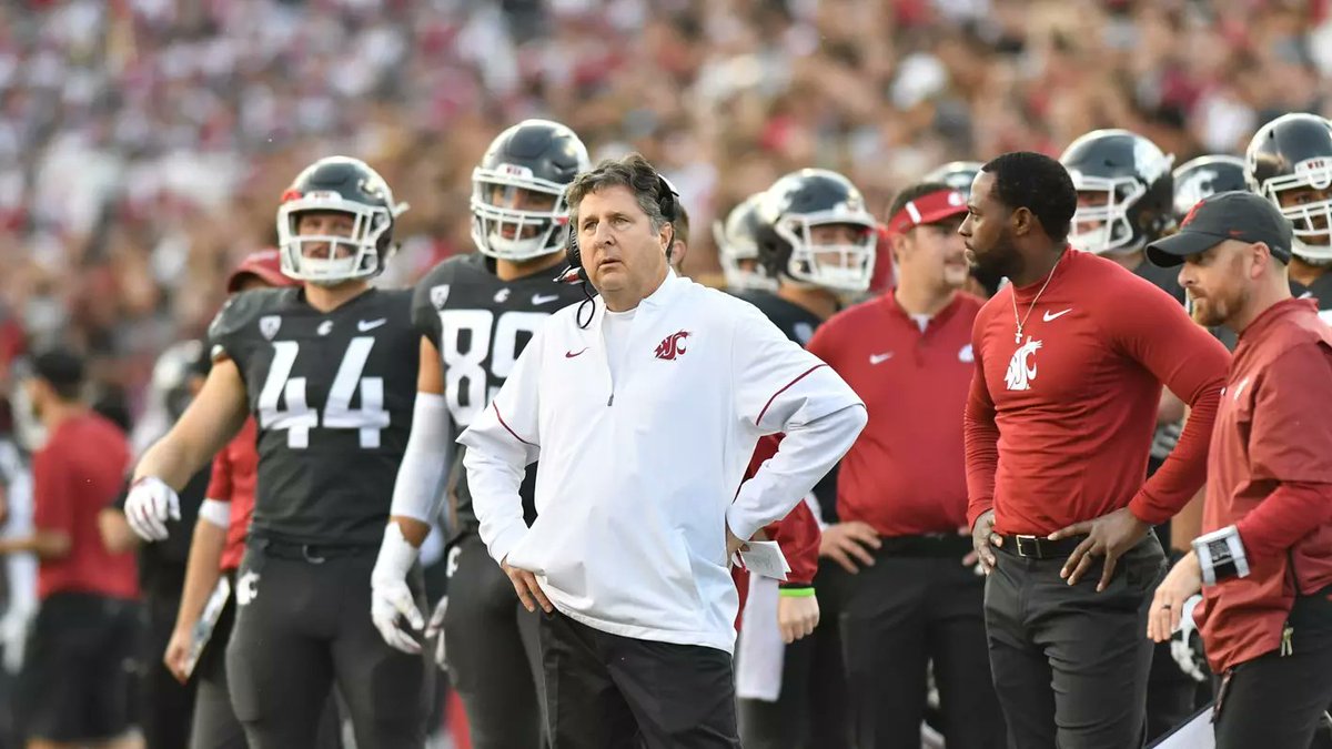 Lucas Ingham tweet media