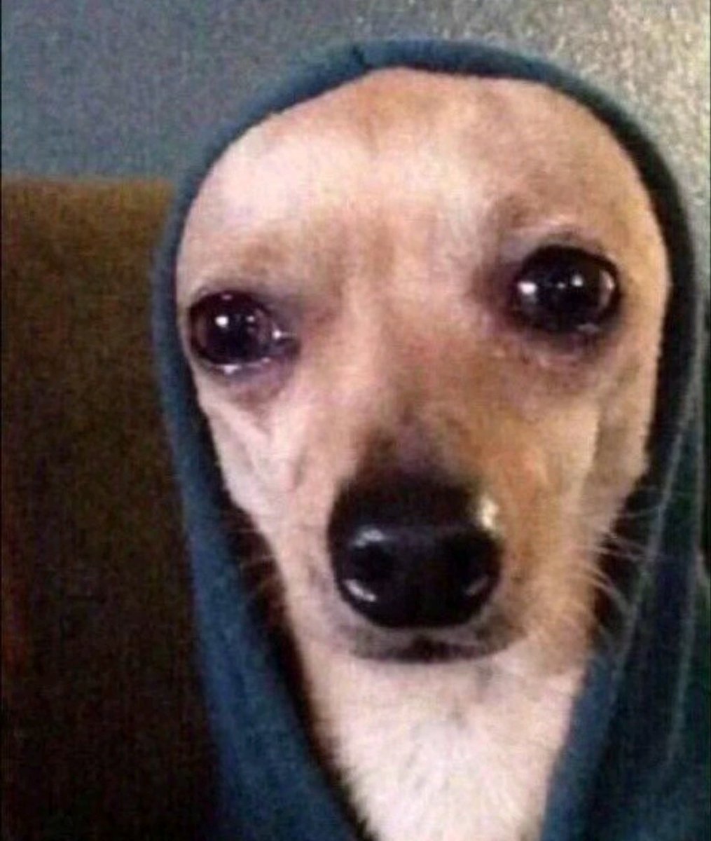 Están los fans de Nerd Project y los Fans del Repartidor de Pizza

Yo soy fan de ambos... 

Tristemente...