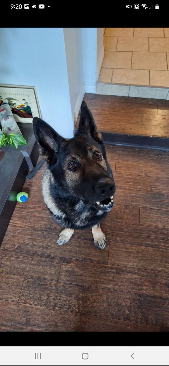 RandomMeg's tweet photo. @JohnMayer I just lost my beautiful boy 2 weeks ago. Your words have tears streaming down my face. https://t.co/sCUuPgtgtU