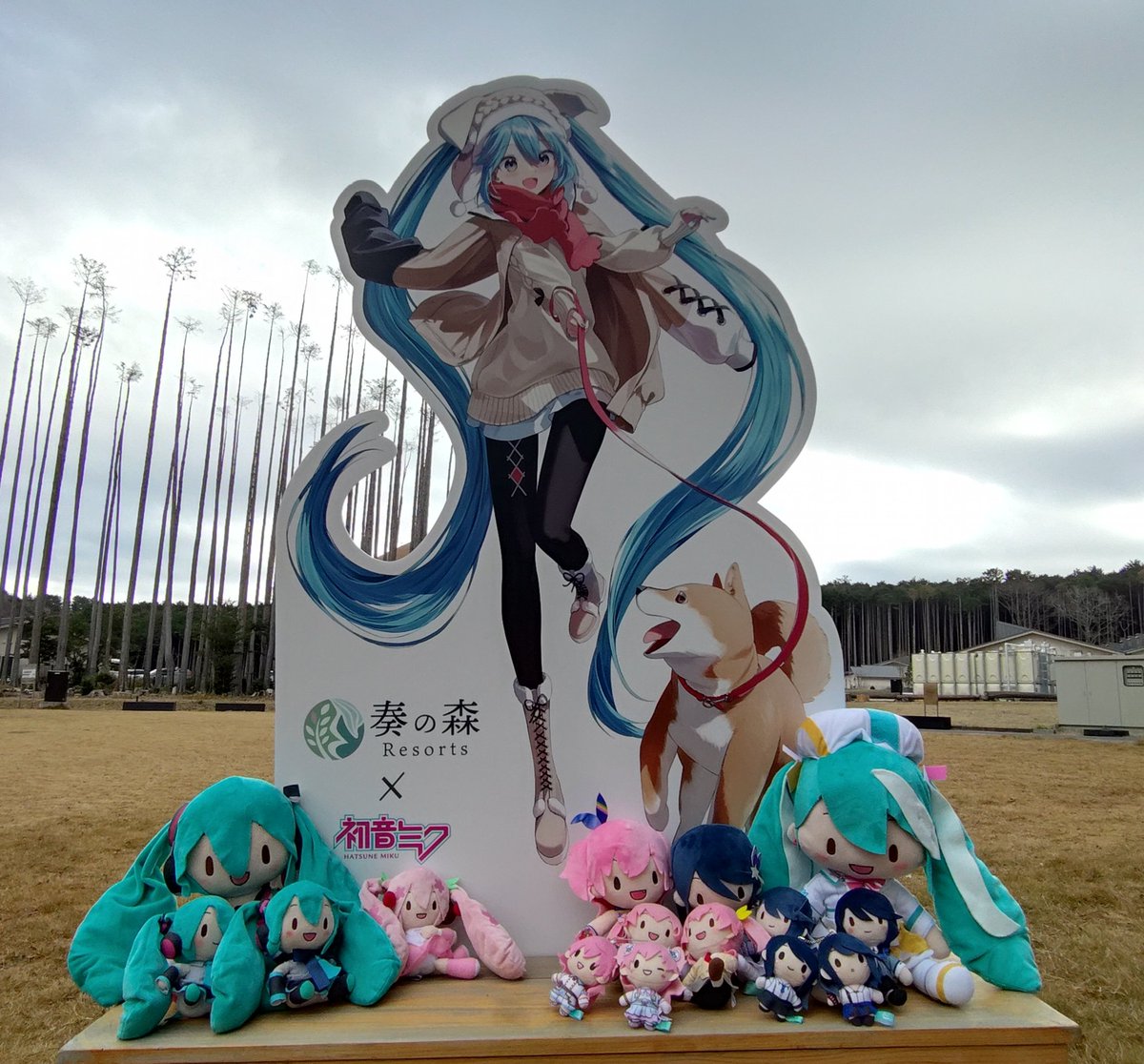 かなでの森ミク 奏の森リゾート×初音ミク コラボ第2弾！ まさか前回