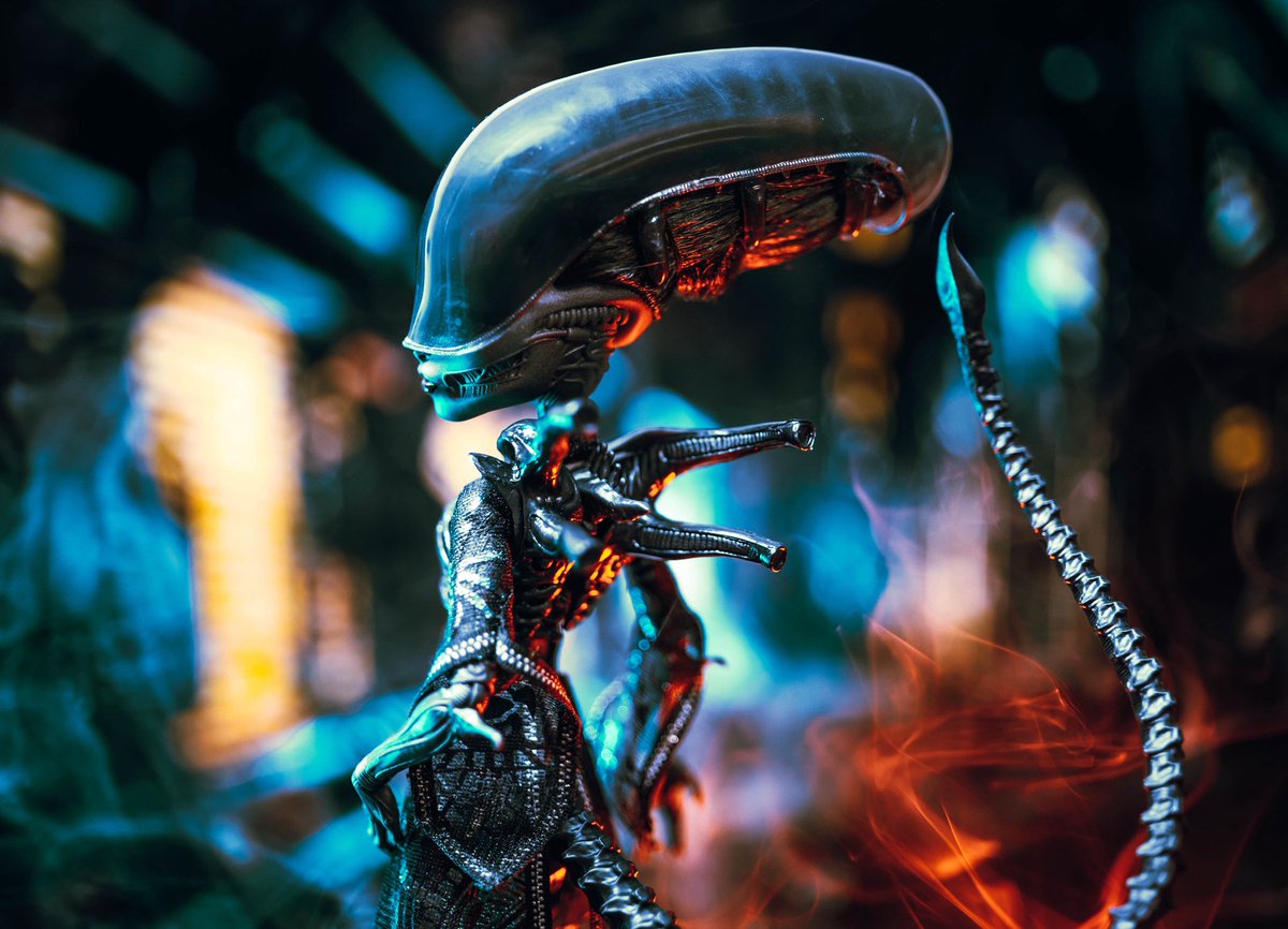 👽Hunter Goetz💀 TheXenoPlays tweet media