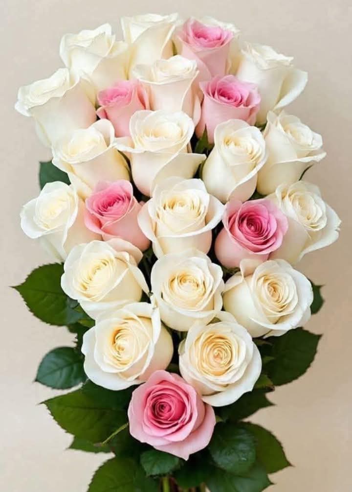 السلام علیکم 
Good morning Pakistan 🇵🇰 
❣️❣️🌷🌷🌹🌹🇵🇰