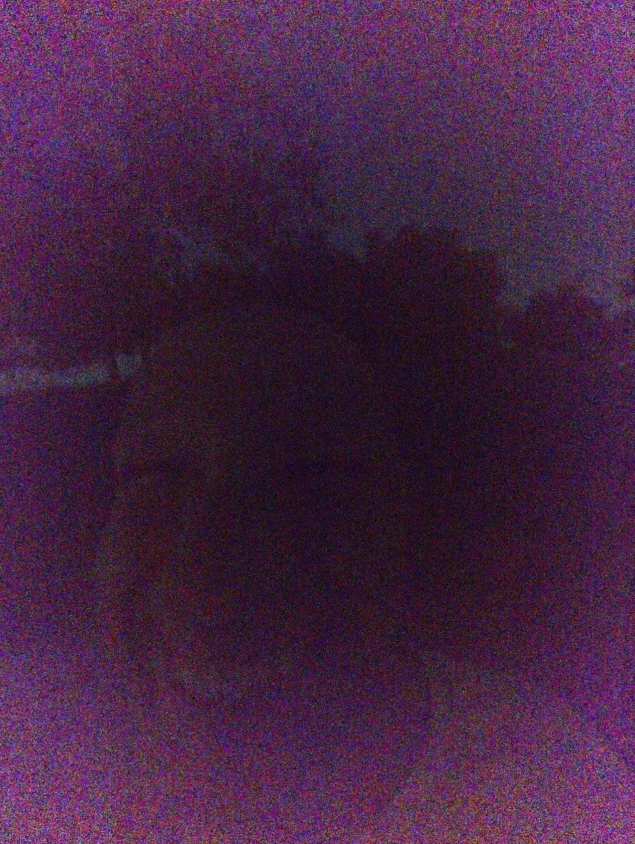 Daniel Hentschel tweet media