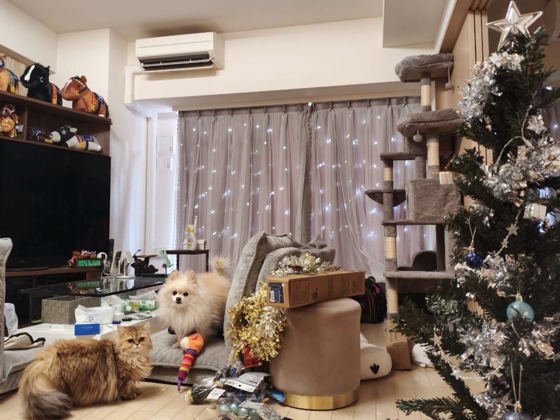 ゆいはる tweet media