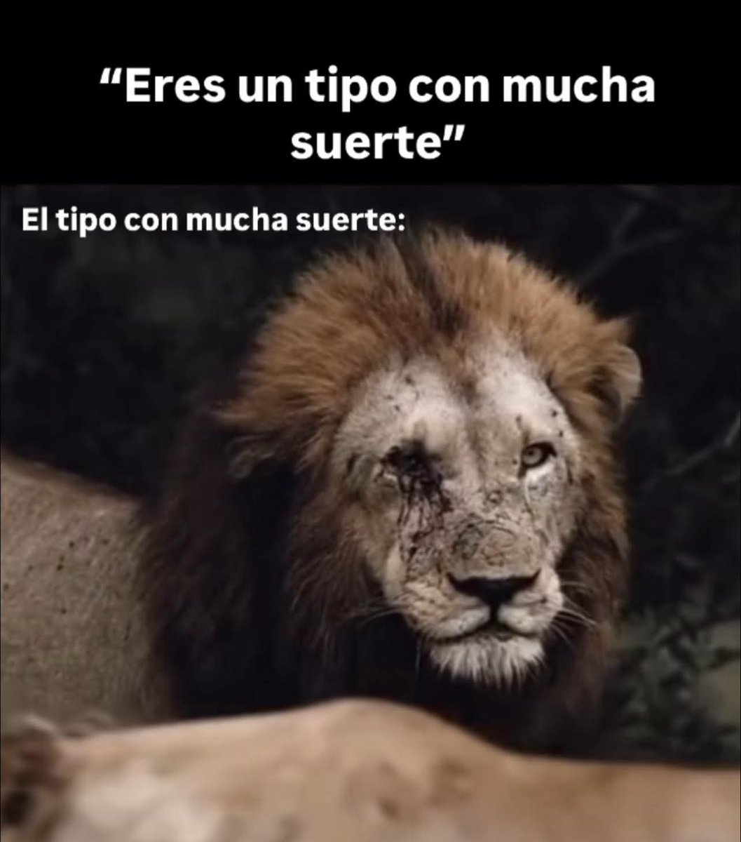 Gustavo70193390's tweet photo. https://t.co/M8dhE38JS7