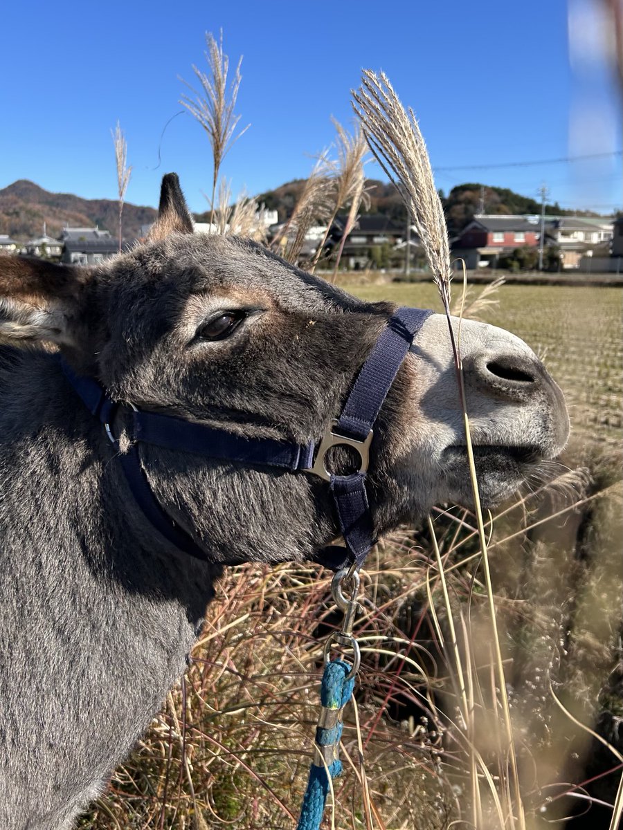 ツルキミ (@TJo95V15kl35013) / Posts / X