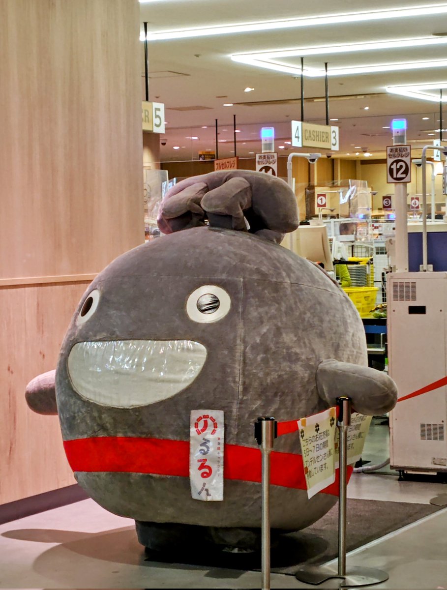 今日ののるるんは踊ったりしてて動きが可愛い✨️ 上を見上げるのるる