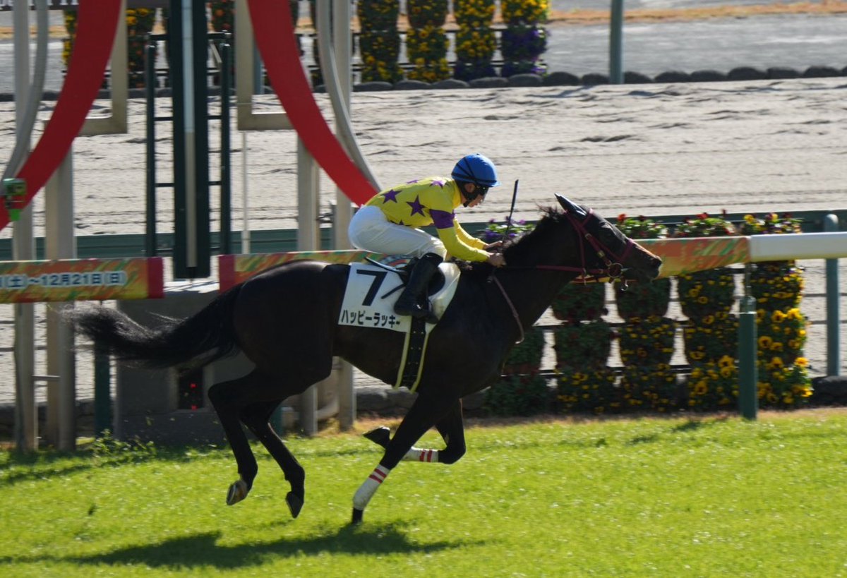 PONコツ (@polairejump) / Posts / X