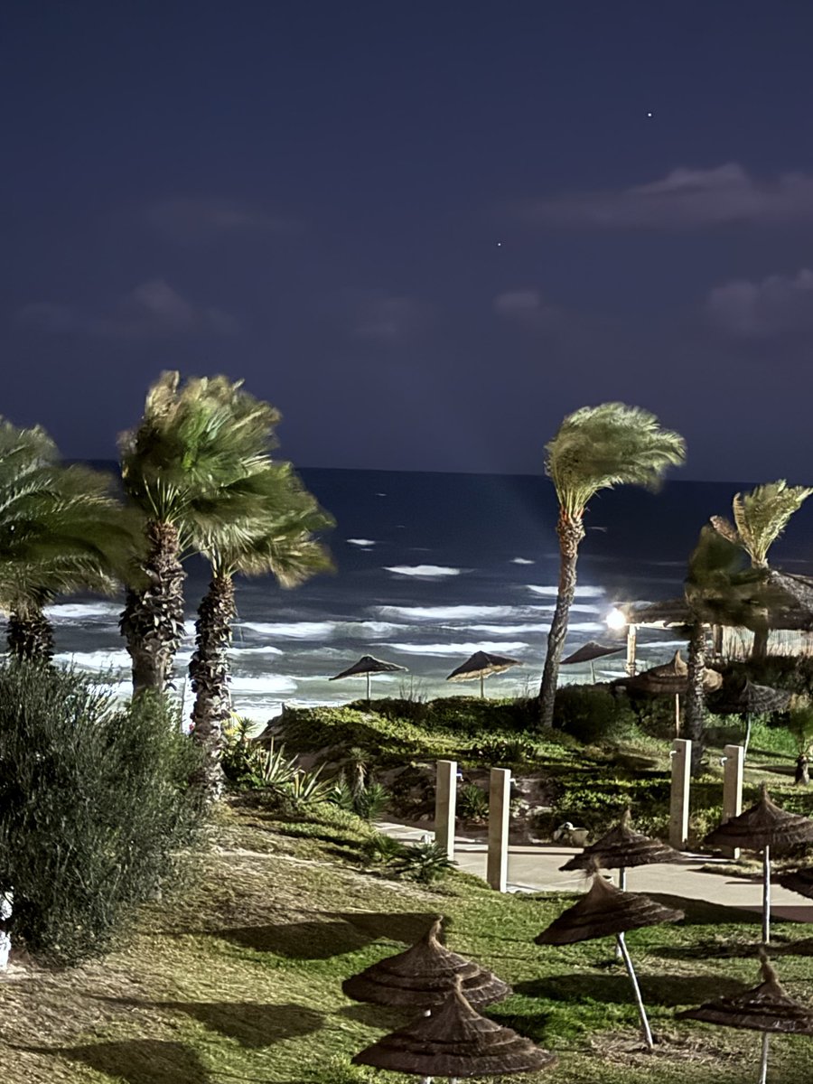 … quel mare d’inverno… che a modo suo sa farti compagnia…
#maredinverno #monastir #tunisia #mare #vento