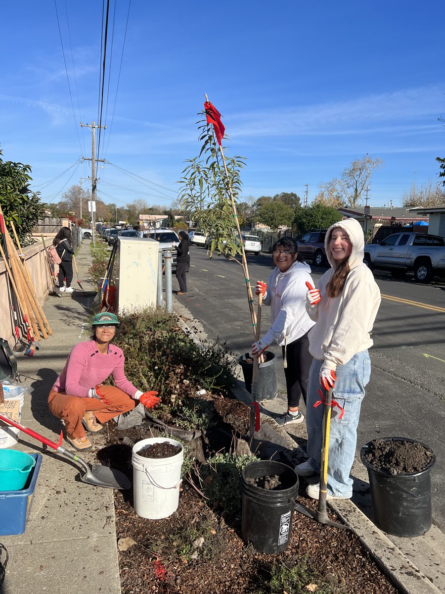 CCCountyDCD tweet media