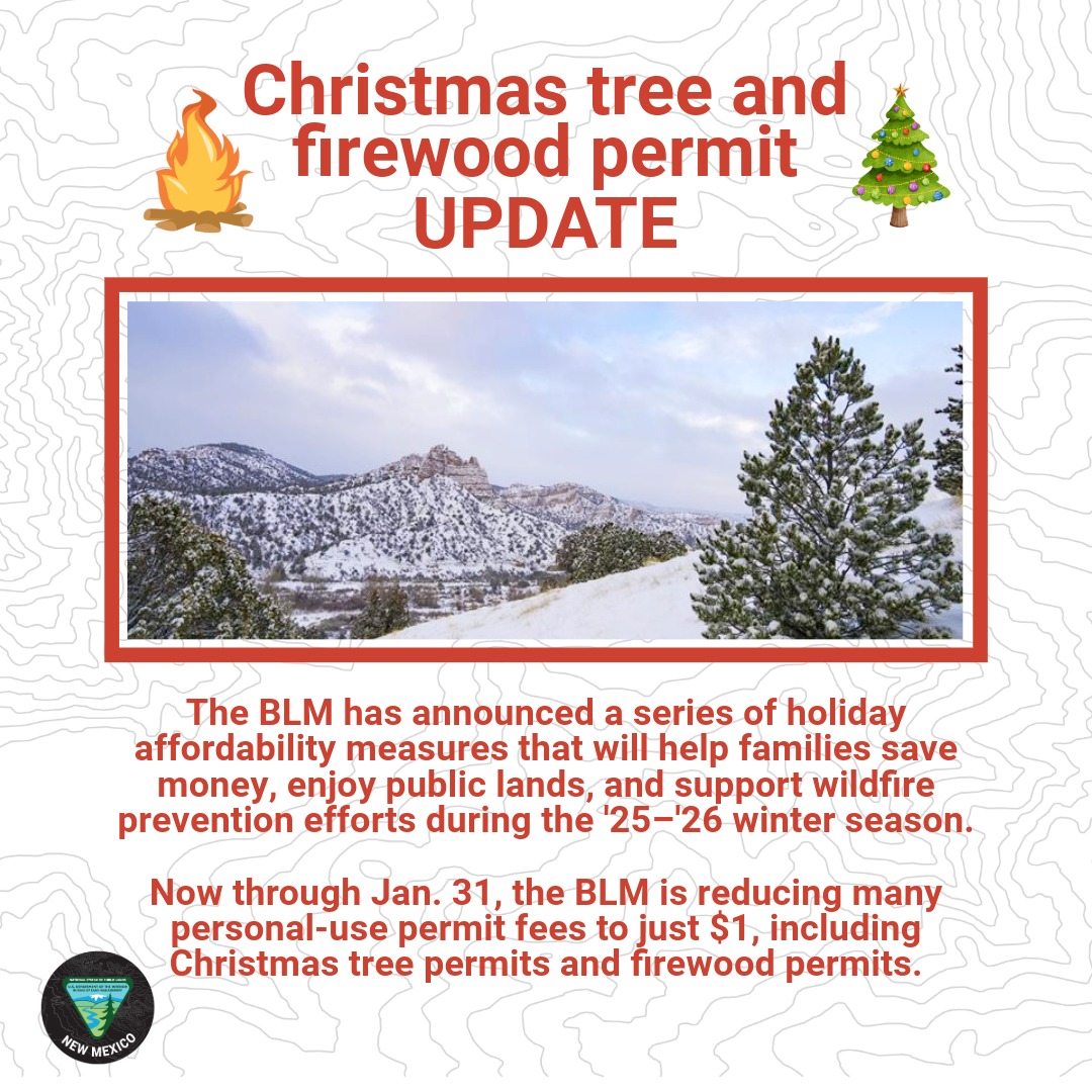 We've announced *new* holiday affordability measures that will help families save💵enjoy lands &amp; support wildfire prevention!

Now thru Jan 31, BLM is reducing many personal-use permit fees to just $1, including Christmas tree🎄&amp; firewood permits🔥

more👇
ow.ly/PKQC50XE9eX