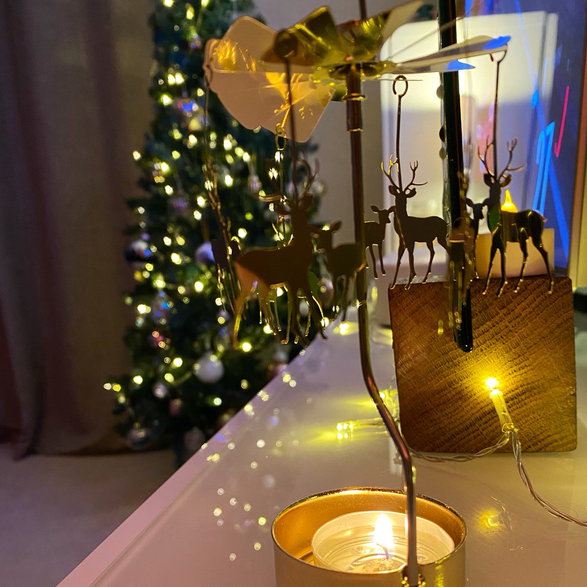 Today I walked 2 miles, saw a beautiful tree, went home and put up the Christmas one up 🌲🎄