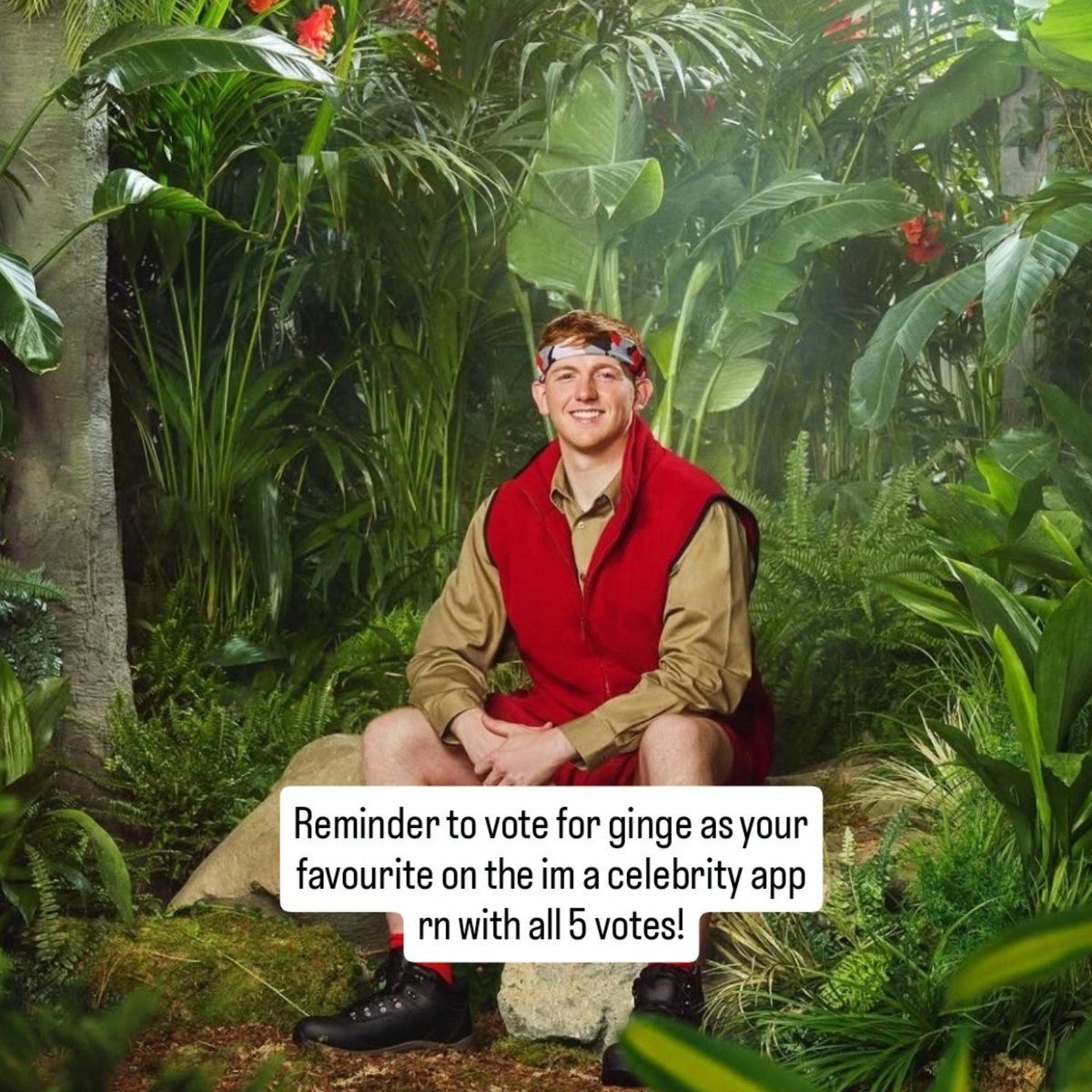 Bov Boys tweet media