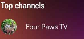 Youtube wrapped be like "damn you watch a fuck ton of squirrel videos"