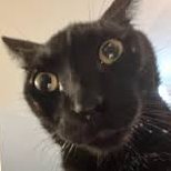 Fasty_goth's tweet image. Siempre me ilusiono mucho cuando veo que tengo un mensaje de alguien nuevo porque sinceramente me encanta conocer gente nueva; pero siempre resulta ser un bot.

Odio esta red social con toda mi alma, te lo juro.