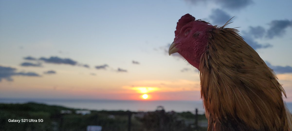LOfndnUtstj7z8V's tweet photo. 🌅 クラウドファンディング・キャンプファイヤー

皆様のおかげで、目標金額を大幅に超えて
17,002,000円という大きな愛情を頂き、無事に終えることができました。

もうね、本音を言うと……
手数料払いたくない🤣🤣🤣
でも、それだけ皆さんが動かしてくれた結果なんだと思うと、
やっぱり感謝しかありません。

今日は、頑張ってくださった皆様へ感謝を込めて
欠けると本日の沖縄の朝日をお届けします。

これは、
新たなスタートの始まり。
皆様がくれた未来です。

お金とは、愛である！
本当にありがとうございました。