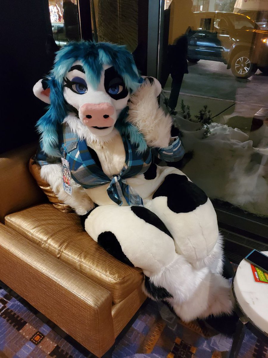 Maple (@furryream) on Twitter photo 