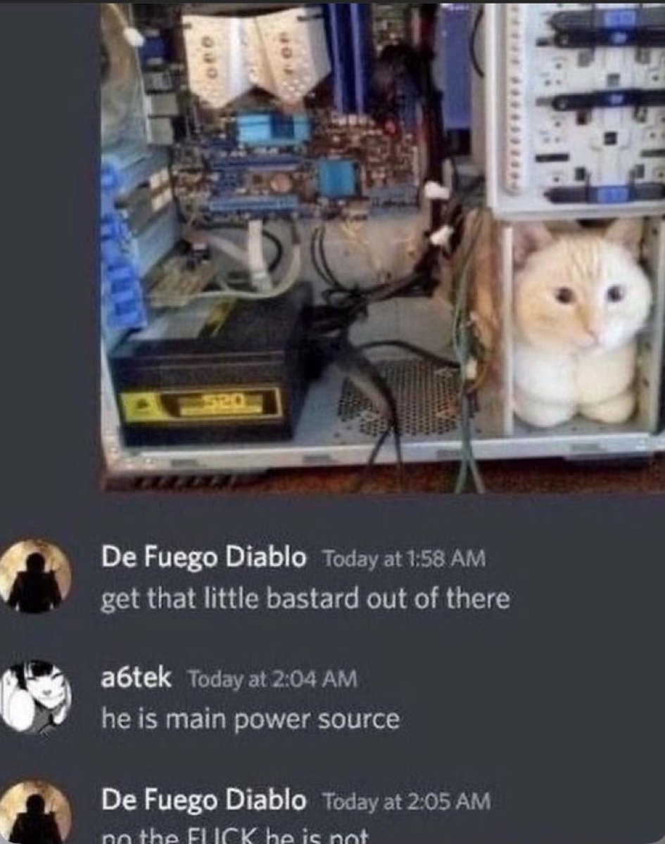 memechaotic's tweet photo. https://t.co/XJDzzCycoj