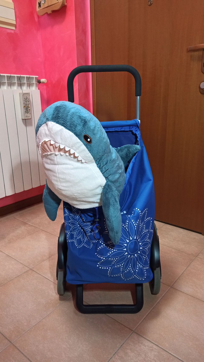 Come on, human!
Chef Lasagna must personally select the ingredients to prepare her dishes!
The supermarket is waiting for us!

#IKEAのサメ #ikeashark #stuffedtoy #blåhaj #brioches #italy #peluches #stuffedanimals #blahaj #homesweethome #lasagna #chef #supermarket #food