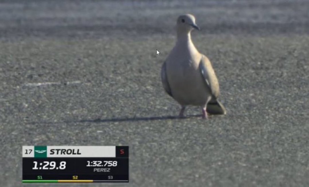 *se decide el mundial en la última vuelta del GP de Abu Dabi*

Lo que va a enfocar la FOM: