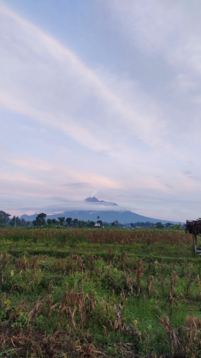 Ulilnih's tweet image. Pagii