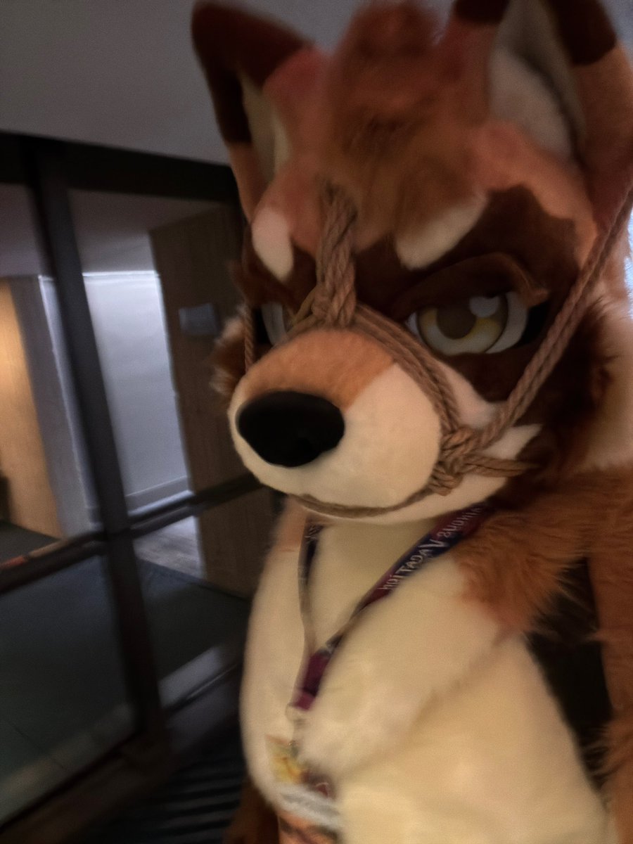 ⚠️MFF Attendee Advisory
PLS STOP HOLDING YOUR FUCKING SPEAKERS AND PLAY THESE WEIRD ASS MUSIC! NO ONE WANTS TO LISTEN TO YOUR SHITTY MUSIC TASTE 👅 IDC WHETHER YOURE PLAYING GOOD MUSICS OR NOT. JUST PLEASE STOP THE MUSIC AND GIVE ME A BETTER PEACE OF MIND