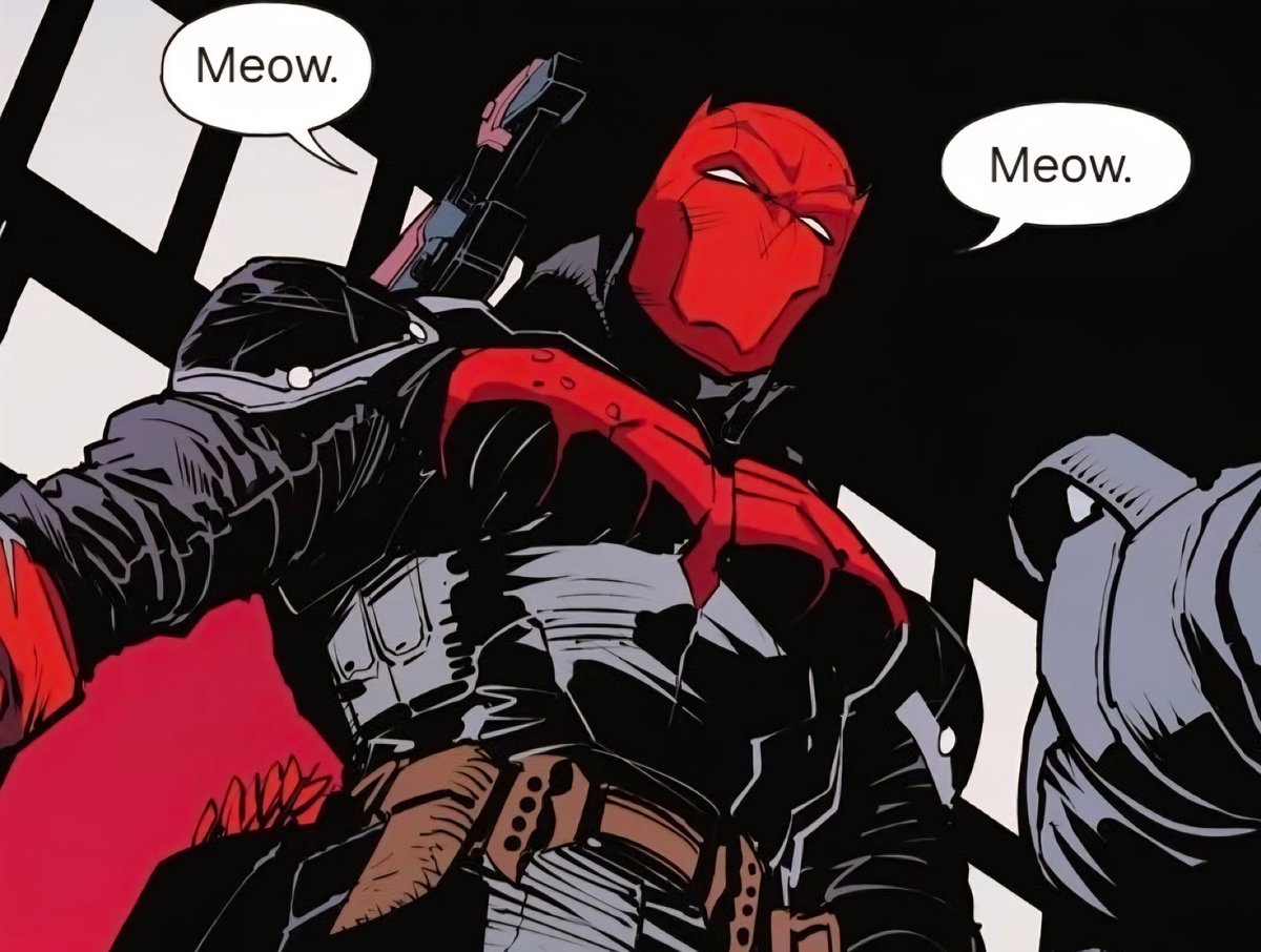 eziopapi's tweet photo. Fuckass kitty #jasontodd #redho https://t.co/F8a8E7NDdn