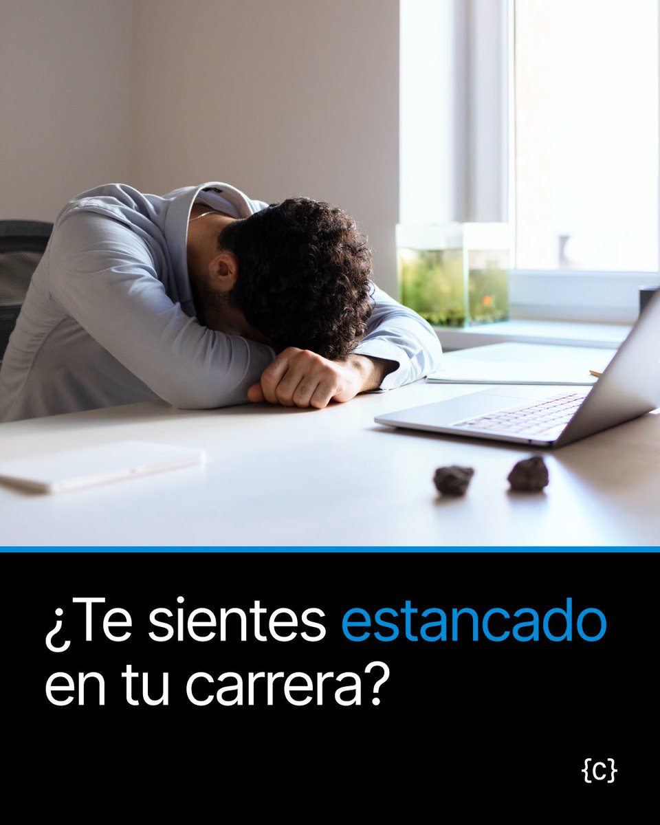 Codeable tweet media