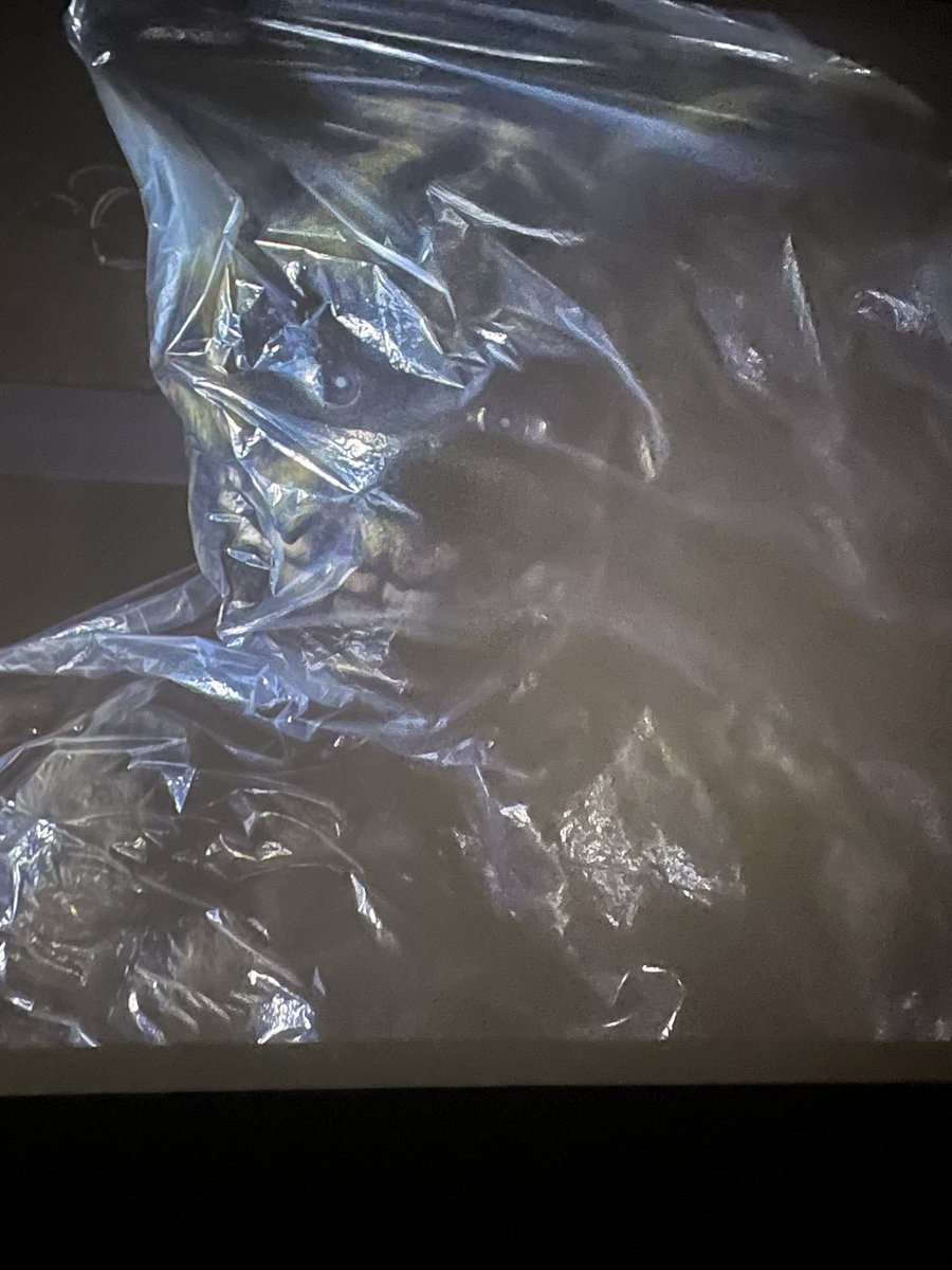 FNAF 2 SPOILER
-
-
-
-
clearest photo I got of Springtrap they are cooking with his design in the next one