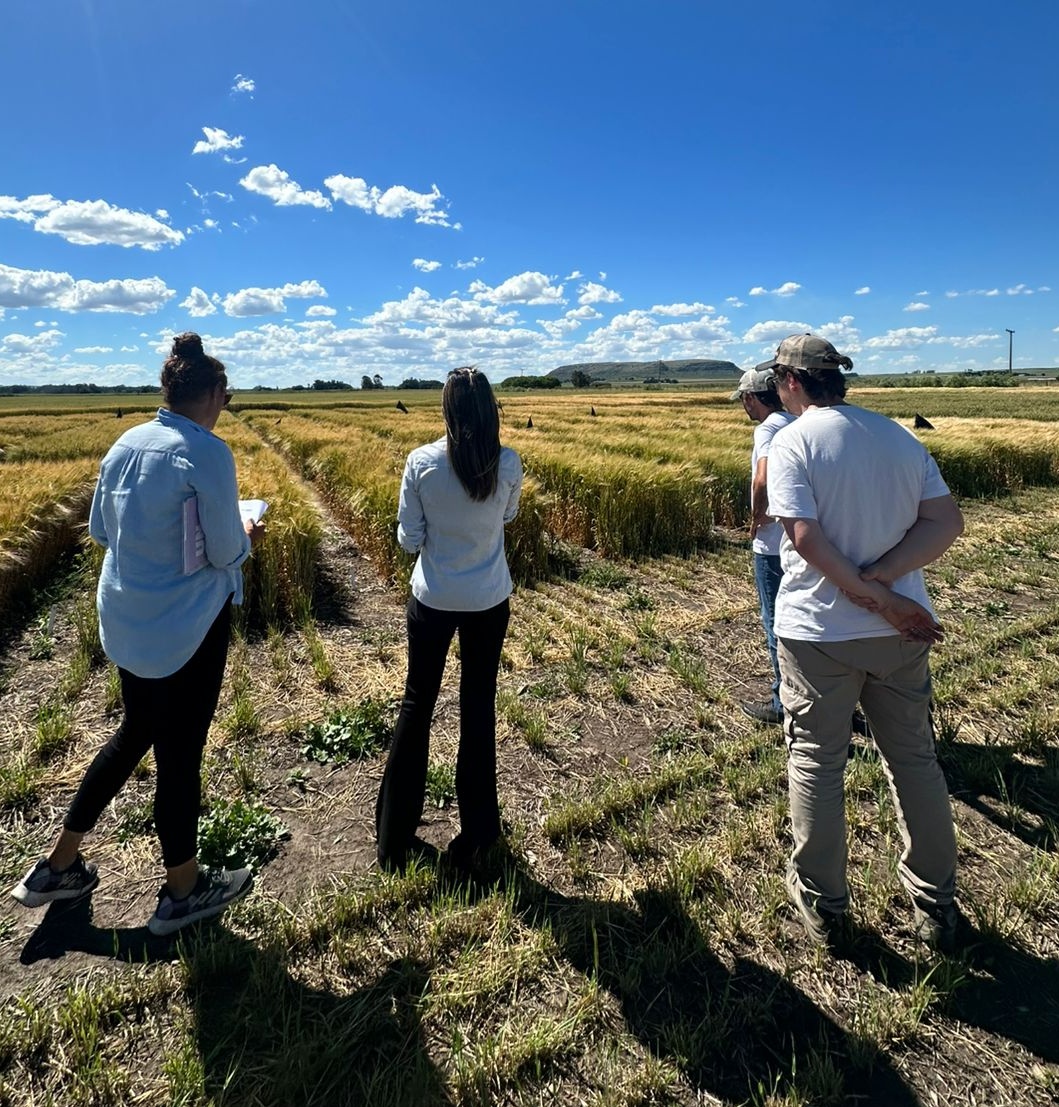 Acompañamos a empresas en el desarrollo y posicionamiento de nuevas tecnologías para el agro.
📍Campo Experimental Balcarce
#Investigación 
#Asesoramiento