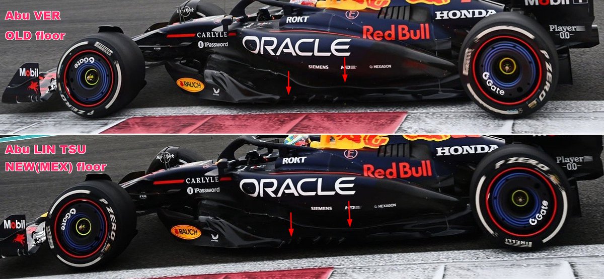 F1 アブダビGP 2019 ストラップ 激レア RB21のフロア：アブダビGP フェルスタッペンは旧型 角田は新型