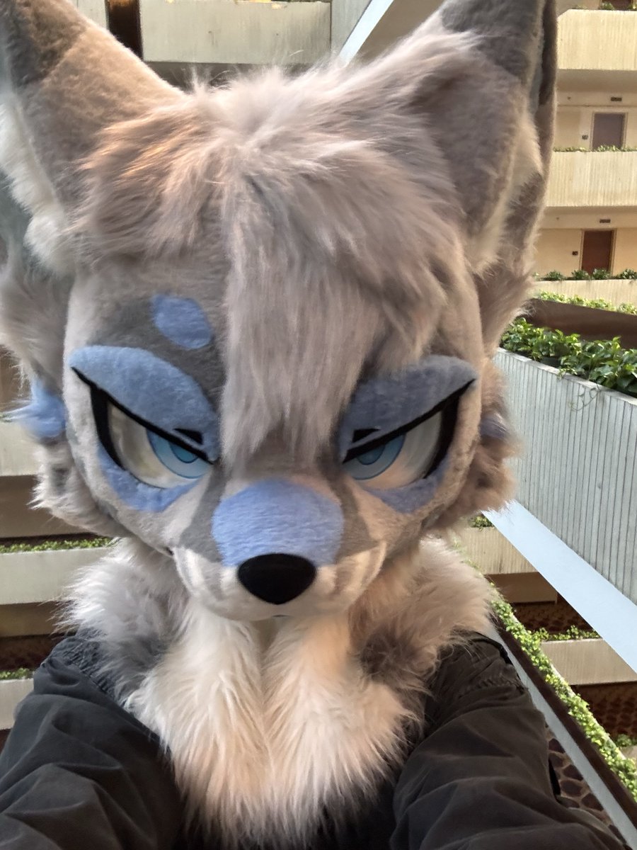 mira 🔜 FWA tweet media