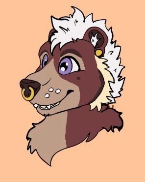 It is with sadness that we announce the passing of Rootbear (they/them). They were a beloved figure and outgoing pup/furry in the Alberta, Vancouver and Victoria communities. Their talent for making friends out of strangers will be dearly missed.