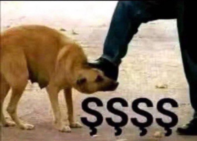 Alp-Eren-Ayas.ts (@alptypescript) on Twitter photo 