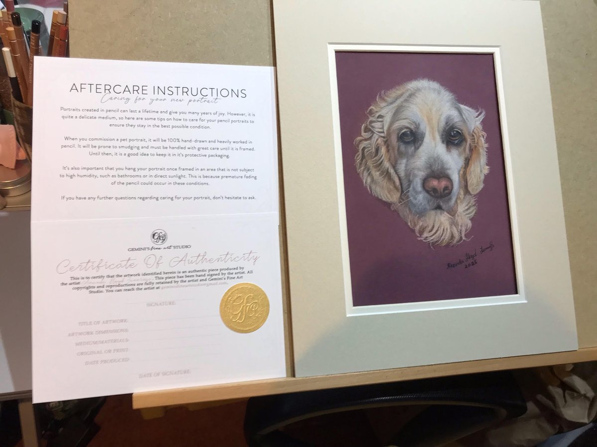 JenningsLAmanda's tweet photo. Portrait off the owner for Christmas. This is Willow a memorial picture in coloured pencils. My books are open for January 2026. 
https://t.co/r9vufF6jAu #portraits #petportrait #pets #Commission #commissions #artist #artwork https://t.co/RMaWzJBucl