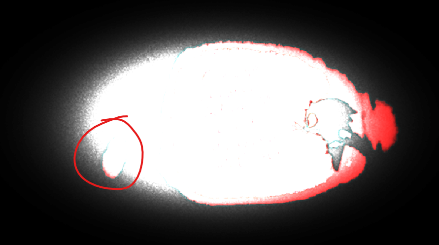 penguin penguin penguin penguin penguin penguin p- tweet media