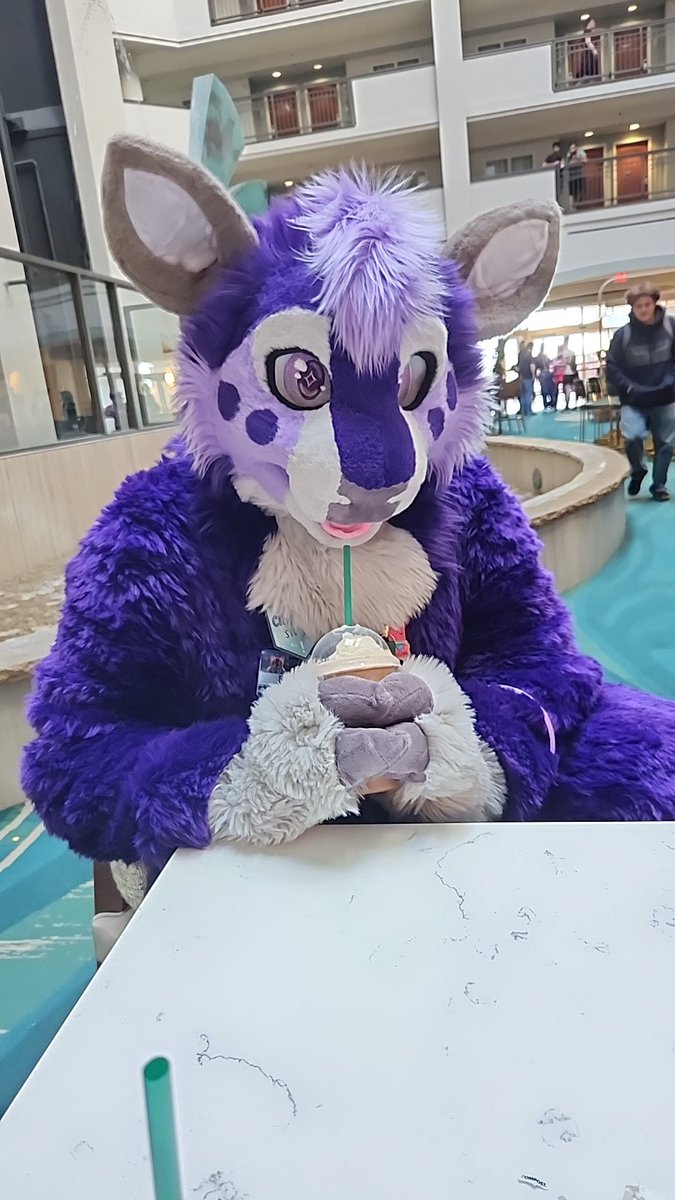 GenericPurpleProtogen tweet media