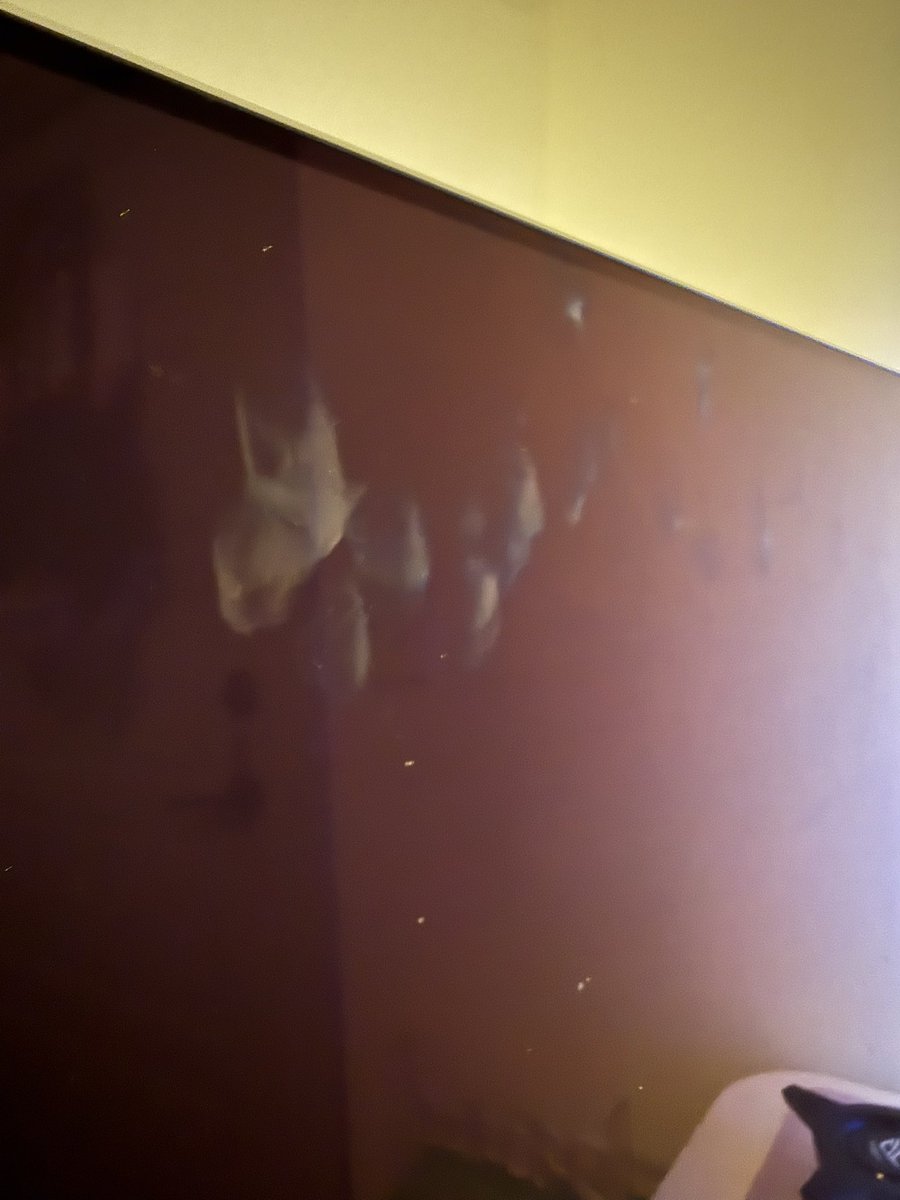 TNX hapa ˚ʚ♡ɞ˚ tweet media