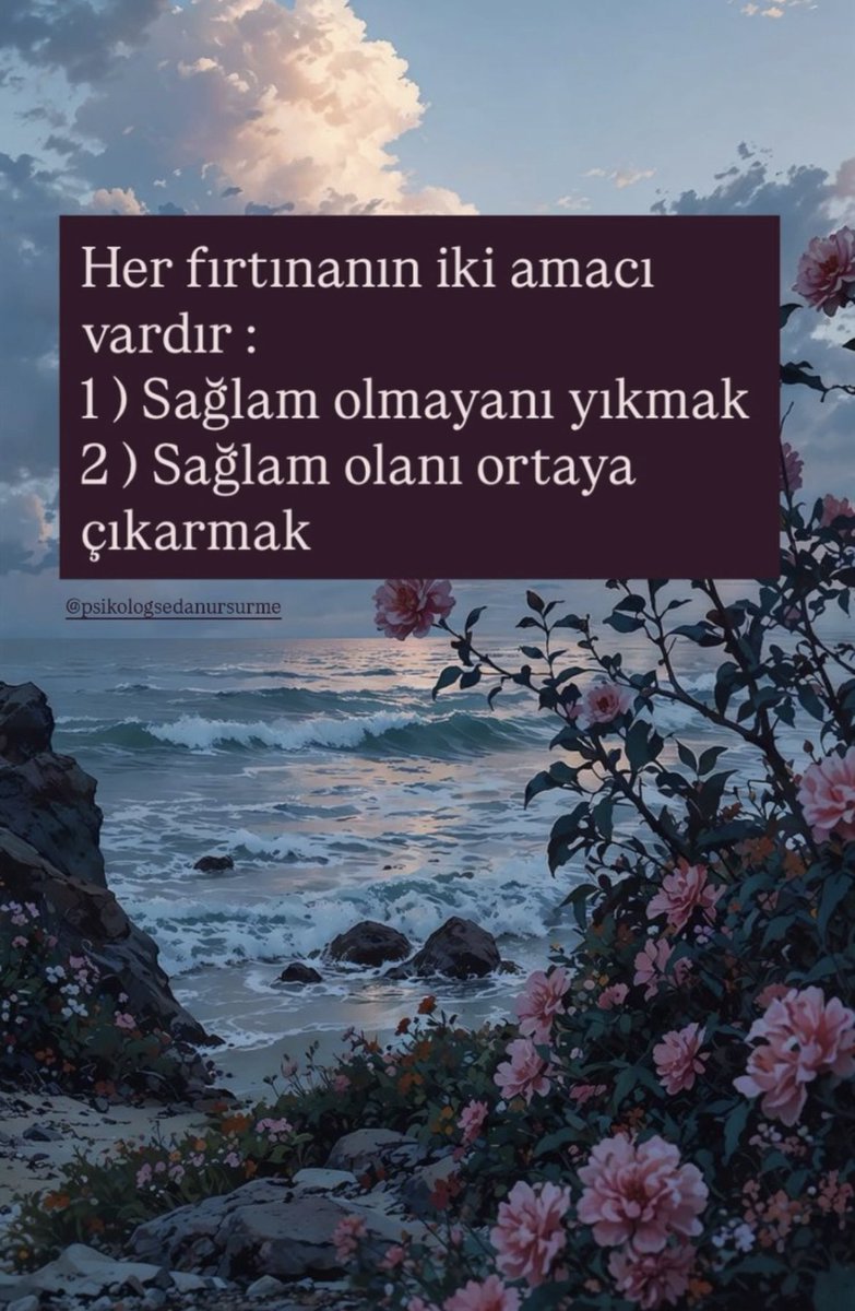 Psikolog Sedanur Sürme (@sedanur_surme) on Twitter photo 