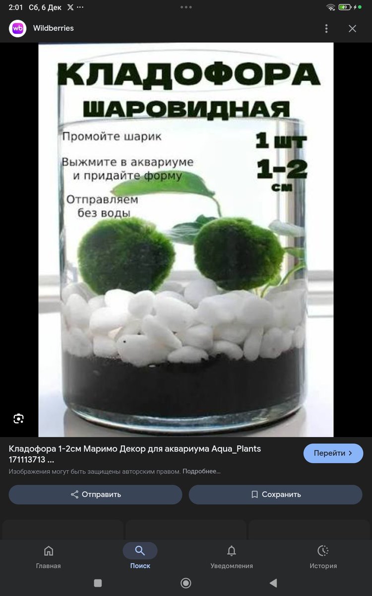 blank__infinity tweet picture