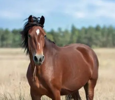 the_coder244's tweet image. 